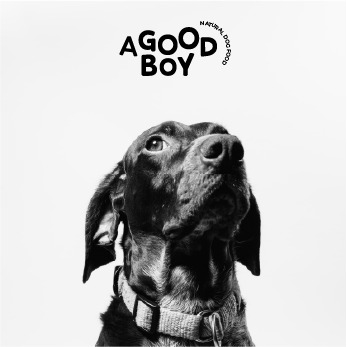 picture of a black dog looking forward