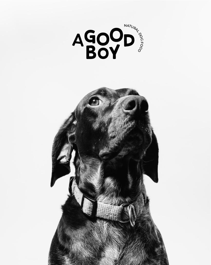 DOG LOOKING FORWARD Black and white image of a dog with A good boy logo at the top